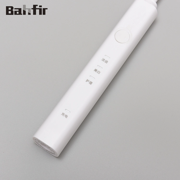 OEM Adult Waterproof Ipx7 Rechargeable Sonic Electric Toothbrush Beauty and Personal Care Travel Use