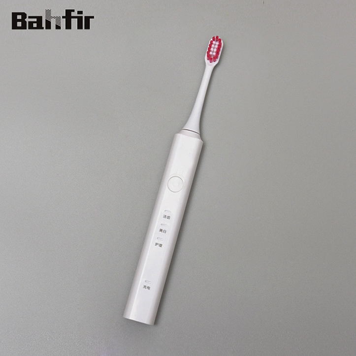 OEM Adult Waterproof Ipx7 Rechargeable Sonic Electric Toothbrush Beauty and Personal Care Travel Use